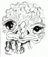 /album/photogallery/under-floorboard-oogle-open-gif/